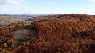 Mountainbike tura usoara de toamna in Arges [upl. by Amasa]