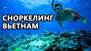 Сноркелинг Вьетнам Нячанг Snorkeling Vietnam Nha Trang [upl. by Hoeg]