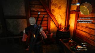 Novigrad Closed City 3rd key Location The Witcher 3 Wild Hunt [upl. by Adelric484]