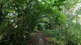 Chaldon Footpath 74 Caterham amp Warlingham Rights of Way [upl. by Graner]