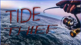 SLASH TIDE THIEF 521 y PATCHINKO 100  LIGHT SPINNING CANARIAS  TOPWATER FISHING youtubeshorts [upl. by Klug117]