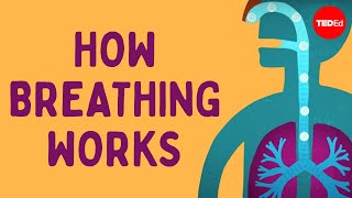 How breathing works  Nirvair Kaur [upl. by Darsie]