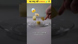 कुछ कमाल के 😯🧪 science experiment scinceexperimentshorts [upl. by Eesdnyl]