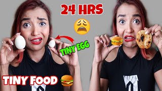 I Ate TINY FOOD For 24 HOUR CHALLENGE  Chicken GALOUTI KABAB Recipe  MINI Food Challenge INDIA [upl. by Hackett]