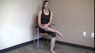 Seated Piriformis Stretch [upl. by Bertle]