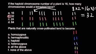 Haploid diploid triploid and tetraploid plants [upl. by Sualkcin]