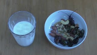 【昆虫食】カナブンとゴマダラカミキリは素揚げにするとナッツになる [upl. by Irelav]