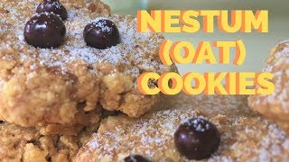 Nestum Oat Cookies  Halal Homemade Recipe [upl. by Armyn]