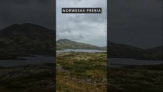 Kierujemy się na południe Wąwóz Mågålaupet i Norweska Preria campertrip norway travel [upl. by Nnaira271]