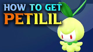 How To Get Petilil  Pokemon Scarlet And Violet Petilil Location Guide [upl. by Kameko]