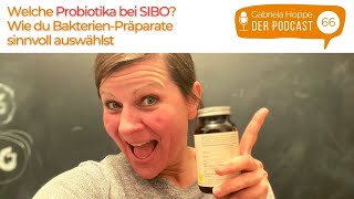 Welche Probiotika bei SIBO Wie du BakterienPräparate sinnvoll auswählst  66 [upl. by Ressan]