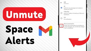 How to Unmute A Space Notifications on Gmail Updated [upl. by Ecille735]