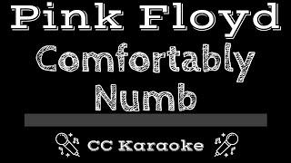 Pink Floyd • Comfortably Numb CC Karaoke Instrumental Lyrics [upl. by Ellenahc]