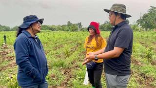 The Inspiring Story of Why He Left His Lucrative Job to Become a Farmer In the Philippines [upl. by Laval]