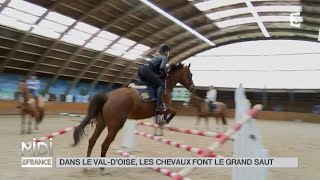 ANIMAUX  Dans le Val dOise les chevaux font le grand saut [upl. by Ekralc362]