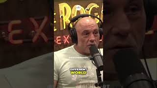 Joe Rogan Explains How To Become A Real Fighter👊shorts joerogan fighting [upl. by Ronna]