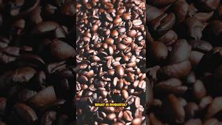 What is Robusta [upl. by Aurea]