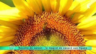 01092014 Recette de saison  le magret de canard aux figues [upl. by Anaylil770]