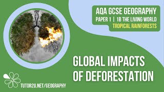 Global Impacts of Deforestation  AQA GCSE Geography  Tropical Rainforests 5 [upl. by Askwith315]