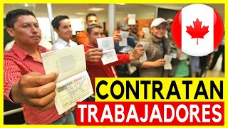 🟥 Descubre Qué Empresas Te llevan TRABAJAR Canadá 2023 Reclutadoras de Trabajadores Extranjeros [upl. by Ahcsim130]