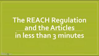 The EU REACH Regulation and the Articles [upl. by Kesley]