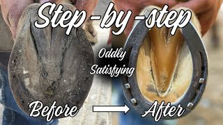 Hoof RestorationSatisfyingFarrier [upl. by Verdi]