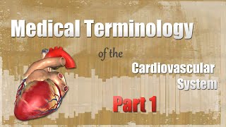 Introduction to the Cardiovascular System Full Video Part 1 And 2 [upl. by Hengel]