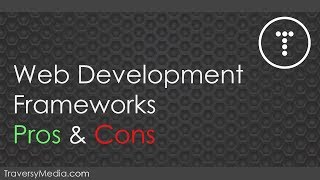 Web Development Framework Pros amp Cons [upl. by Ahseital]