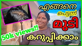 Natural Hair Dyevery Easy HennaIndigo Powder  Waterഒന്നരമാസം നിൽക്കും [upl. by Dov]