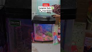 Complete Aquarium Tank ✅ aquarium twolessfishinthesea fishfumet [upl. by Anelleh]