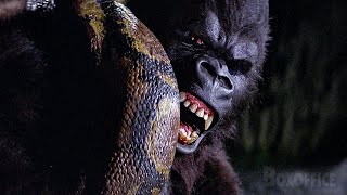 King Kong VS Giant Snake [upl. by Anohsal]