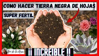 😱COMO HACER TIERRA NEGRA DE HOJAS🌱 SUPER FERTIL🌼 ORGANICA y muy facil  Gio de la Rosa [upl. by Weihs505]