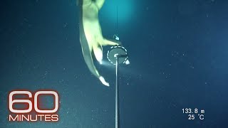 Alexey Molchanov’s world record dive [upl. by Leirea]