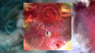 ANIMALS AS LEADERS  The Future That Awaited Me [upl. by Amitarp]