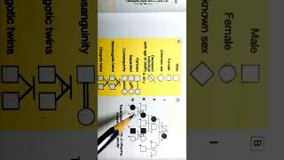 Pedigree 1 Autosomal Dominant  Criteria [upl. by Dorcea]