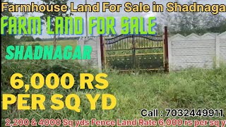 Farm Lands For Sale at Shadnagar Chegoor Farooq nagar 2200 amp 4000 Sq yd Fenced Land Rate 6000sq yd [upl. by Morten]