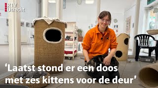 Dierenasiels zitten zo vol dat ze geen nieuwe katten meer toelaten  RTV Utrecht [upl. by Devaj]