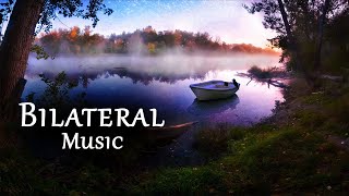 Relaxing Bilateral Stim Music  1 Hour for Anxiety Stress PTSD Sleep 🎧 A Drop in Time [upl. by Akoyin317]