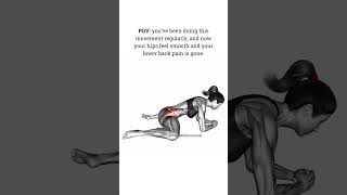 Insane Hip Mobility Stretch The Dynamic Frog Pose 2024 [upl. by Beilul]