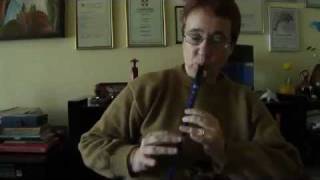 quotDanny Boyquot on Sweetone Tinwhistle by Marcia Contador [upl. by Mallis]