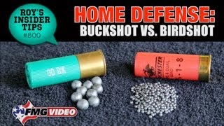 Home Defense Buckshot vs Birdshot [upl. by Mashe]