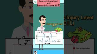 economic injury level  economic threshold level  what is etl and eil in entomology shortvideo [upl. by Gustafson91]