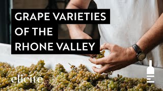 The Different Grape Varieties And Styles Of The Rhone Valley Wine Region [upl. by Maisie]