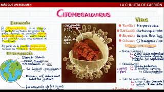 CITOMEGALOVIRUS TODO LO QUE NECESITAS SABER [upl. by Oilut528]