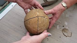 Breaking open Grandmas sandstone rock from 45 years ago FOSSIL INSIDE [upl. by Hatti]