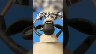 🐑 Velocino da Fúria  Caos de Fundo Musgoso shaunthesheep shaunthesheep carneiro cartoon [upl. by Backer]