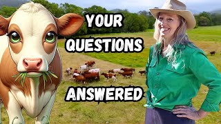 Revealing Secrets Cattle Strip Grazing Made Simple [upl. by Droflim880]