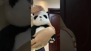 Panda Plush Giant Panda Soft Toy 2 Styles pandaplush plushtoys plush plushies [upl. by Yaniv]