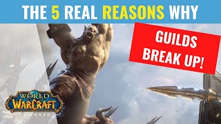 The REAL 5 Reasons Guilds Break Up [upl. by Luebke]