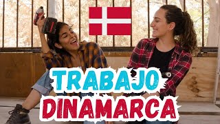 TRABAJO en DINAMARCA experiencia y tips a tener en cuenta🇩🇰 [upl. by Shreve]